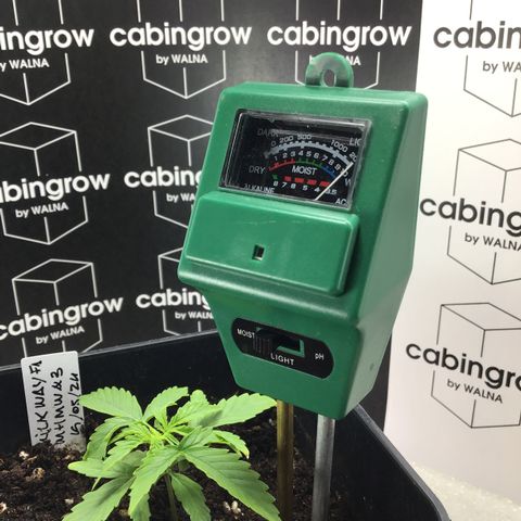 MHMW #3 growlog timeline photo