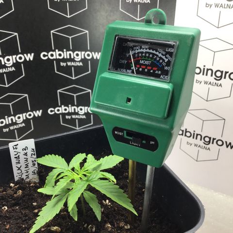 MHMW #3 growlog timeline photo