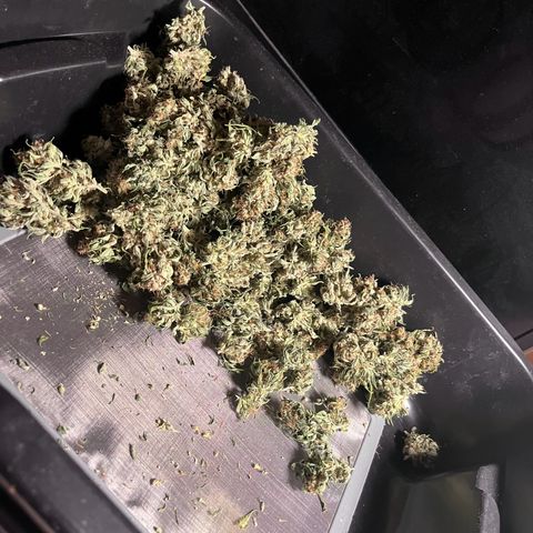 Diesel Automatic growlog timeline photo