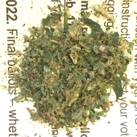 Woodhead Reserve  growlog timeline photo