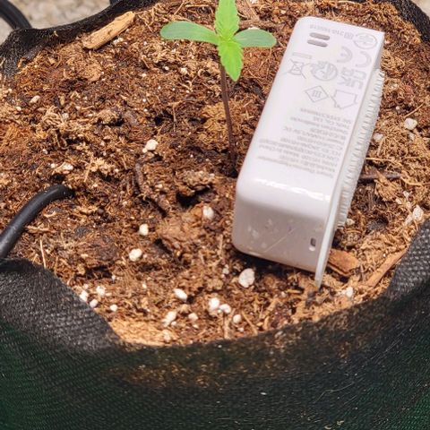 Starfire growlog timeline photo