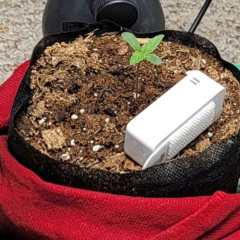 Starfire growlog timeline photo