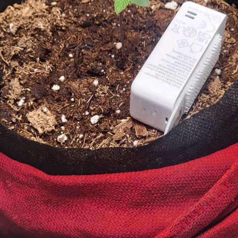 Starfire growlog timeline photo