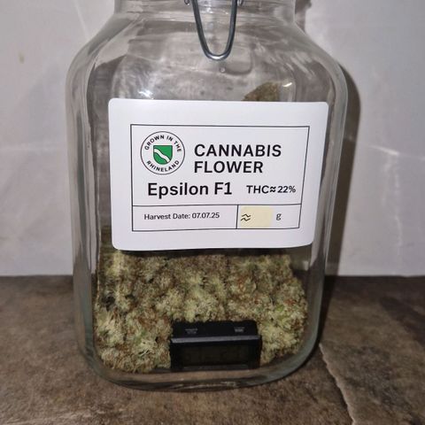 Epsilon F1 growlog photo: Drying is completely over. Now my weed is ready and smokeable but still needs some curing for best taste.