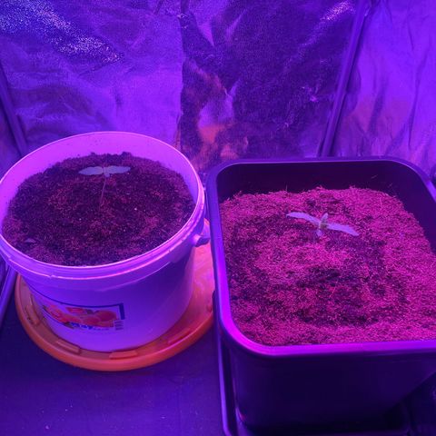 Erika growlog timeline photo