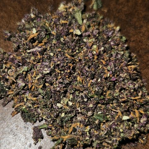 Purple Lemonade Autos growlog timeline photo