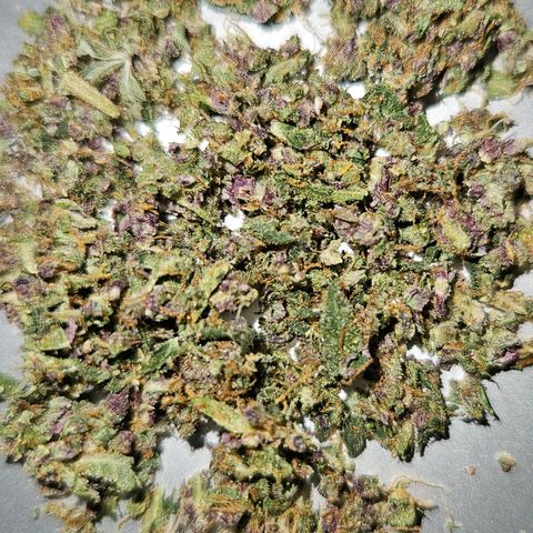 Purple Lemonade Autos growlog timeline photo