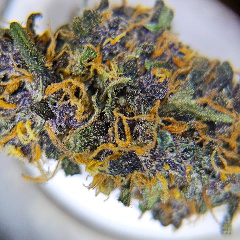 Purple Lemonade Autos growlog timeline photo