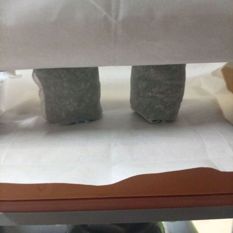 NL#1 growlog timeline photo