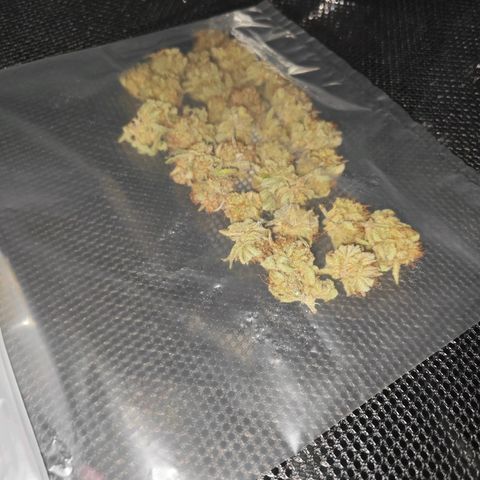 Number 1 growlog photo: trocknen in Dry Ferm Bags
Inkl. Orgon Energy 😘