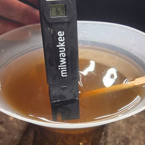 Sandranotte royal domina growlog timeline photo