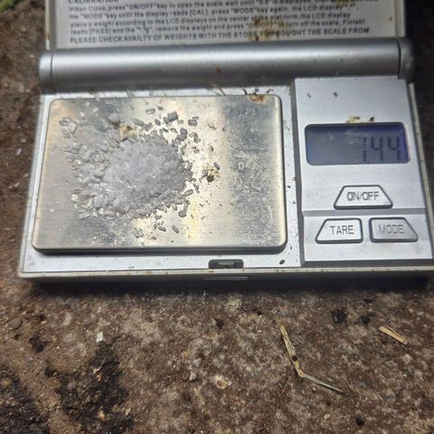Sandranotte royal domina growlog timeline photo