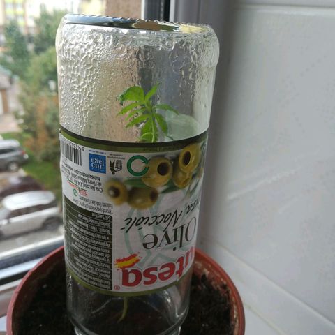 Auto critical  growlog timeline photo