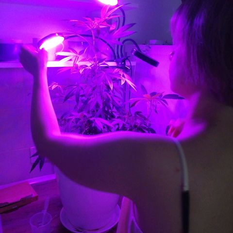 Анна-Мария growlog timeline photo