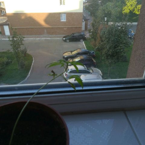 Auto critical  growlog timeline photo