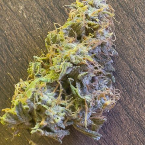 Critical Purple growlog timeline photo