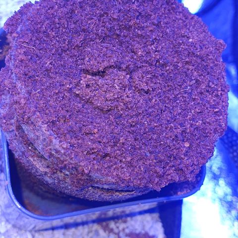 3RH #2 growlog timeline photo