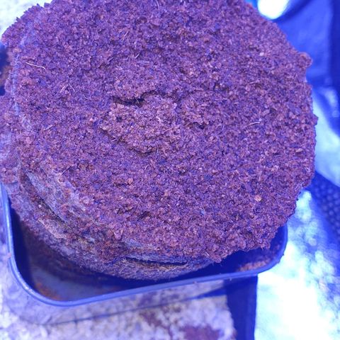 3RH #2 growlog timeline photo