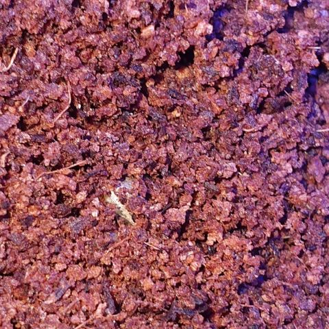 3RH #2 growlog timeline photo