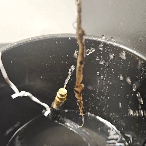 Gorila clone growlog timeline photo