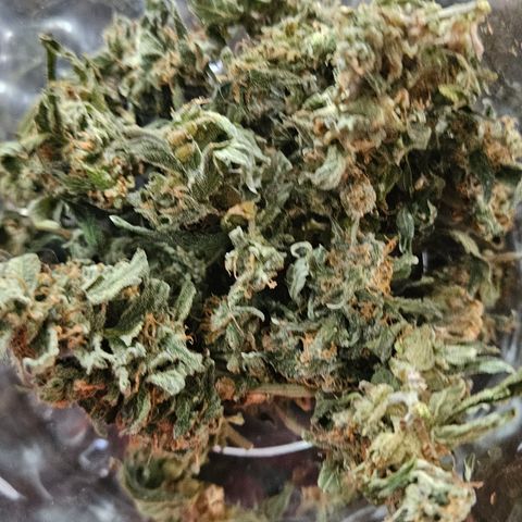 Pineapple Express Auto growlog timeline photo
