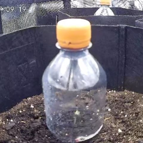 Milky Way growlog timeline photo