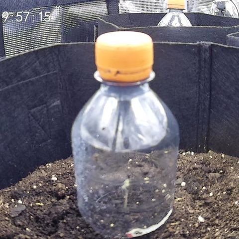 Milky Way growlog timeline photo