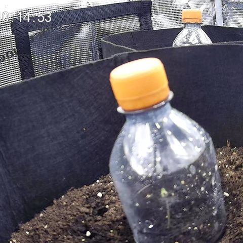 Milky Way growlog timeline photo