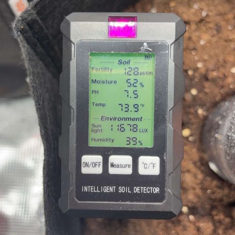 Milky Way growlog timeline photo