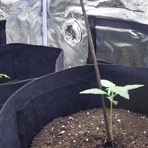 Milky Way growlog timeline photo