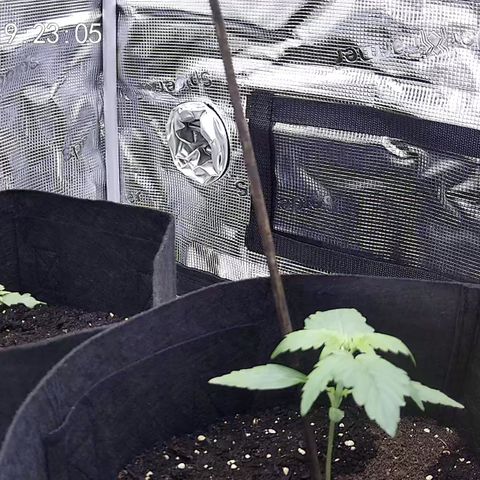 Milky Way growlog timeline photo