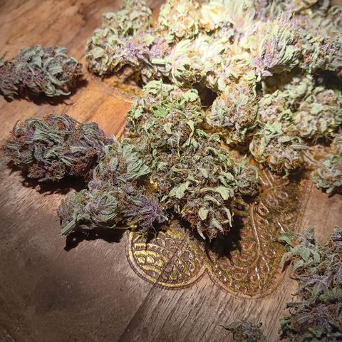 LSD-25 (FastBuds) growlog timeline photo