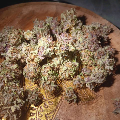 LSD-25 (FastBuds) growlog timeline photo