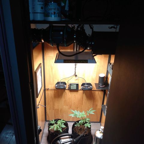 Number 2 growlog photo: Finishing Touches