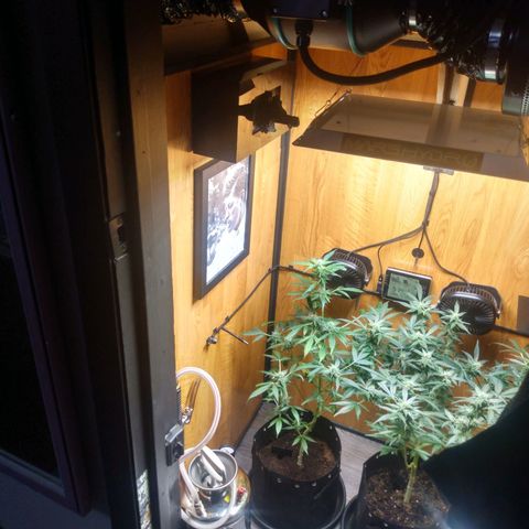 Number 2 growlog photo: Corners left uncut...