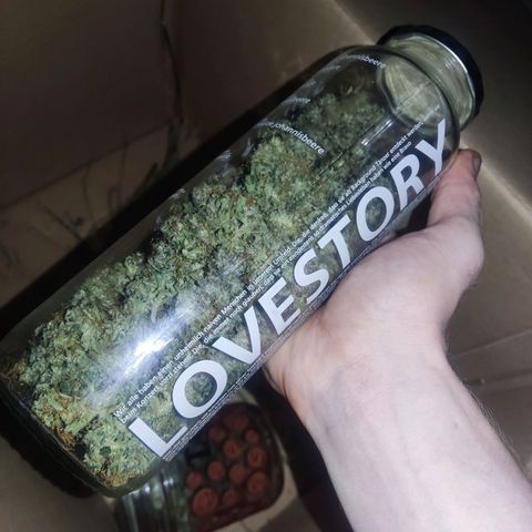 Anna growlog timeline photo
