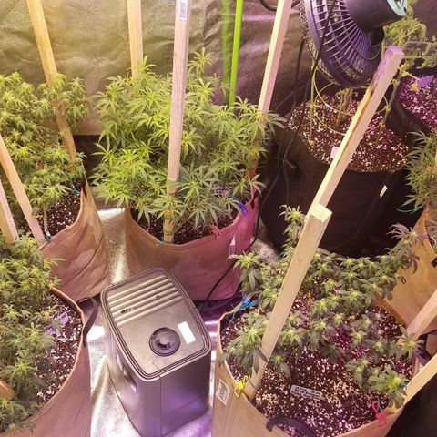 Aja growlog timeline photo