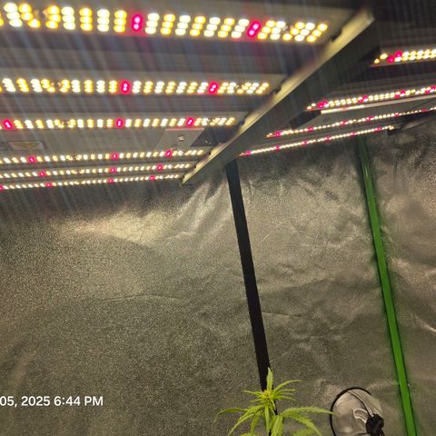 Auto Moon Rocks growlog photo: Waterdf