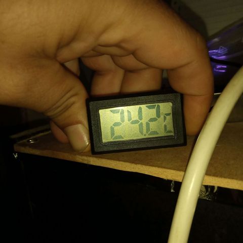 Morpheus growlog timeline photo
