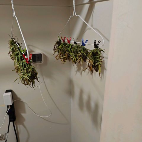 Titan growlog timeline photo