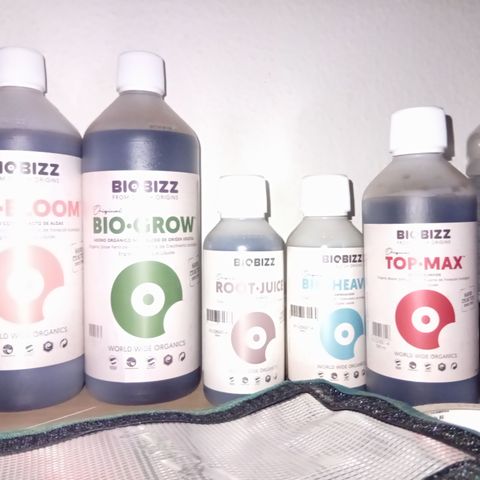 Acai Jelly  growlog photo: Bestsndsaufnahme mit Bildern.
- Scrog Höhe
- VentiHöhe
- Abluft-AKF Kombo Höhe
- Alle vorhandenen Dünger
- BioBloom, BioGrow, RootJuice, BioHeaven, TopMax
- Bild einer Trauermücke
- Bild einer eventuellen Thripse.