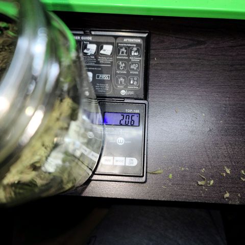 Blue Cheese  #1 growlog photo: 82.53 grams