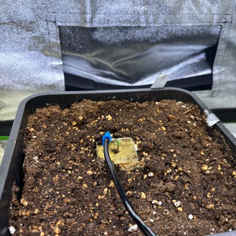 Fullgas growlog timeline photo