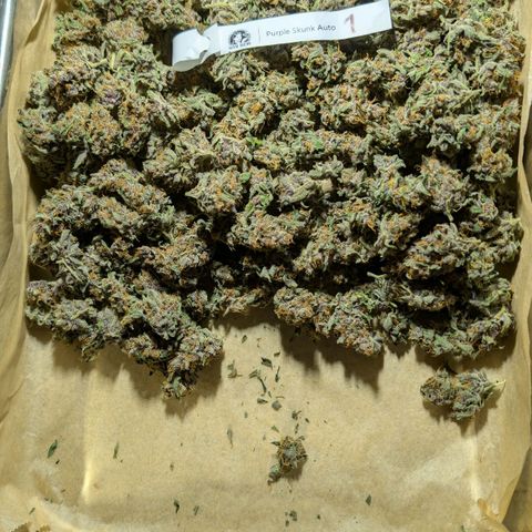 Nama's Threesome #1 growlog timeline photo