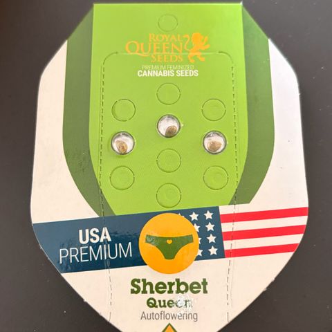 Bubble Kush Automatic growlog timeline photo