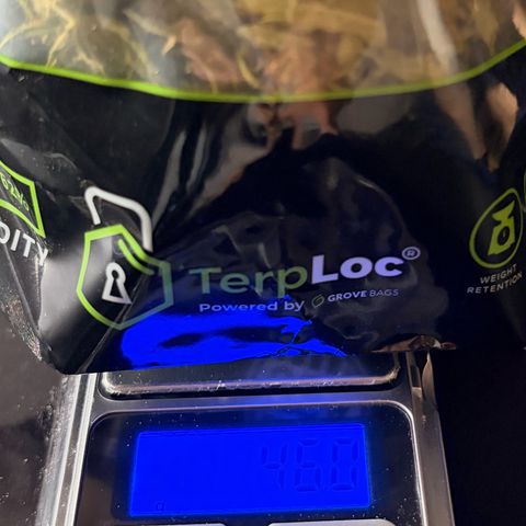 Sherbet Queen Automatic growlog photo: 46g
