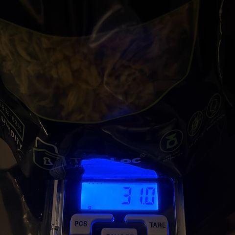 Bubble Kush Automatic growlog photo: 70g
