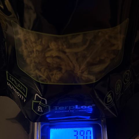 Bubble Kush Automatic growlog photo: 70g