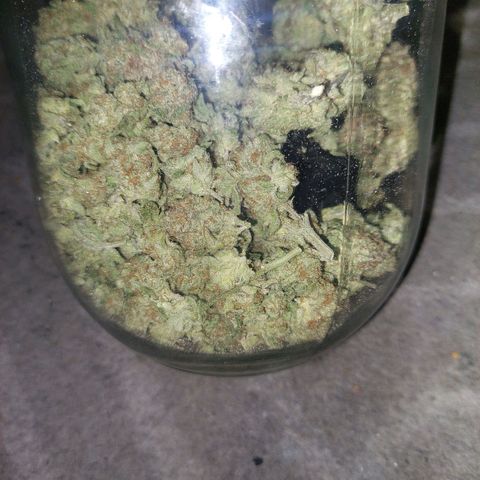 Royal Cookies growlog timeline photo
