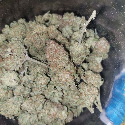 Royal Cookies growlog timeline photo
